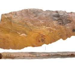 Наконечник копья. 4-тысячелетие до н. э. Найден на Гоголевском бульваре. Предоставлено: Музей Москвы.