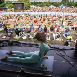 Международный День йоги в «Царицыно». Предоставлено организаторами фестиваля.