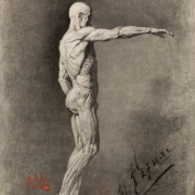 Николай Рерих "Экорше Гудона" 1894. Предоставлено: © Государственная Третьяковская галерея.