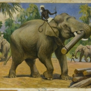 Ватагин В.А. "Рабочие слоны" 1953. Предоставлено: Государственный Дарвиновский Музей.