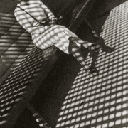 Александр Родченко "Девушка с "Лейкой" 1934. Предоставлено: Фонд Still Art и Центр "Зотов".
