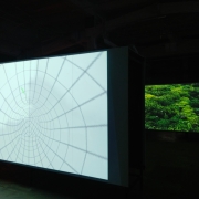 Выставка тайваньских видеохудожников «Смещённые ландшафты». Фото: Cultobzor.ru (Кирилл Зимогорский).