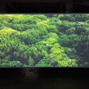 Выставка тайваньских видеохудожников «Смещённые ландшафты». Фото: Cultobzor.ru (Кирилл Зимогорский).