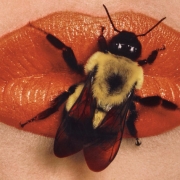 Ирвин Пенн "Bee on lips" 1995. Коллекция Марианны Сардаровой. Предоставлено: Фонд RuArts.