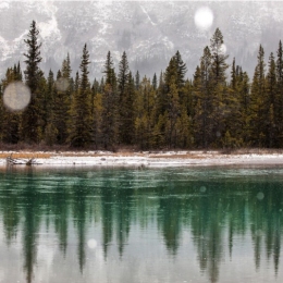 Предоставлено: Галерея Классической Фотографии.