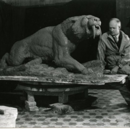 К.К. Флёров около глиняной модели скульптуры "Саблезубый тигр". До 1938 года. Предоставлено: Государственный Дарвиновский Музей.