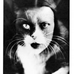 Ванда Вульц "Я кот" 1932