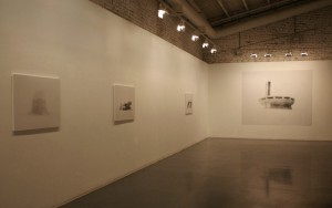 Выставка-проект в Pechersky Gallery.