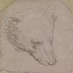Леонардо да Винчи "Голова медведя" Около 1485