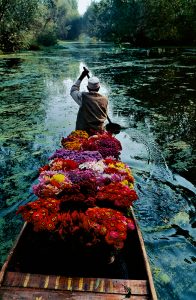 Стив МакКарри "Продавец цветов на озере Дал. Сринагар, Джамму и Кашмир, Индия" 1996