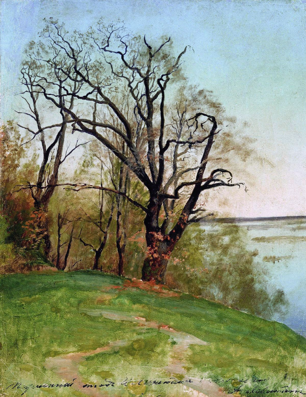 И.И. Левитан "Дуб на берегу реки. Этюд" 1887