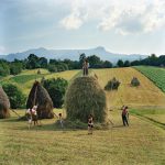Рена Эффенди "Вся семья Борка из деревни Бреб наносят последний штрих на один из 40 стогов сена, которые каждое лето укладывают в Марамуреше, Румыния"