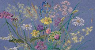 Выставка Нина Сочивко И цветы, и шмели, и трава, и колосья Аптекарский огород