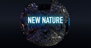 Выставка Recycle Group New Nature Центр современного искусства Винзавод Галерея Триумф