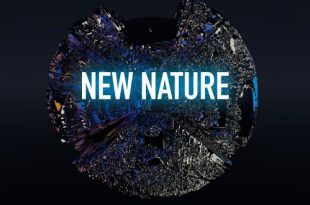 Выставка Recycle Group New Nature Центр современного искусства Винзавод Галерея Триумф