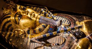 Выставка Сокровища гробницы Тутанхамона ВДНХ Павильон 33