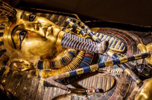 Выставка Сокровища гробницы Тутанхамона ВДНХ Павильон 33