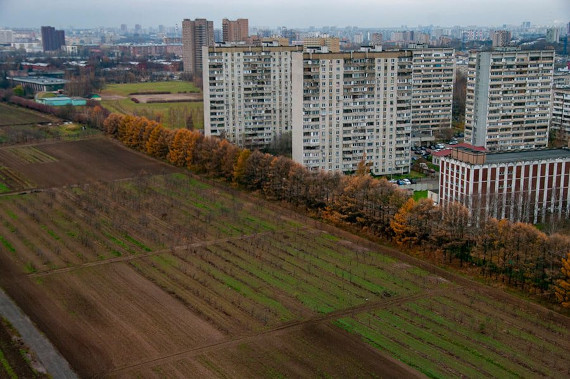 Выставка акция Сохраняя Тимирязевку Галерея Парк