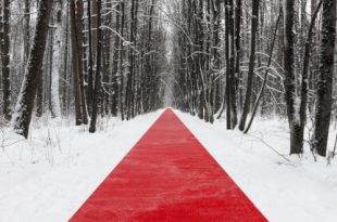 Парк Малевича Одинцово Выставка Белый лес Лэнд-арт проект