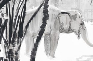 Иркутск Выставка Ирина Маковеева и Маша Шебеко От рисунка к книге Галерея сибирского искусства