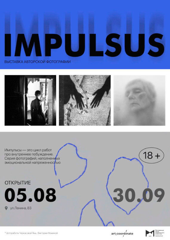 Выставка «IMPULSUS». Молодежный центр современного искусства - Ульяновский областной художественный музей.