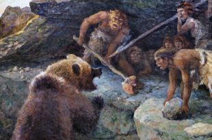 Государственный Дарвиновский Музей Выставка Человек и медведь