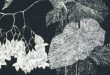 Чебоксары Выставка Адель Ефейкина Следуя за вдохновением Чувашский государственный художественный музей