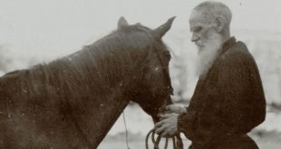 Музей памяти Льва Толстого Астапово Выставка Хочется писать историю лошади Тема животных в творчестве и в жизни Л.Н. Толстого.