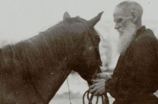 Музей памяти Льва Толстого Астапово Выставка Хочется писать историю лошади Тема животных в творчестве и в жизни Л.Н. Толстого.