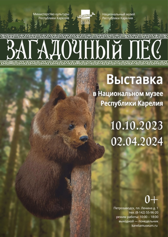 Петрозаводск Национальный музей Республики Карелии Выставка Загадочный лес 