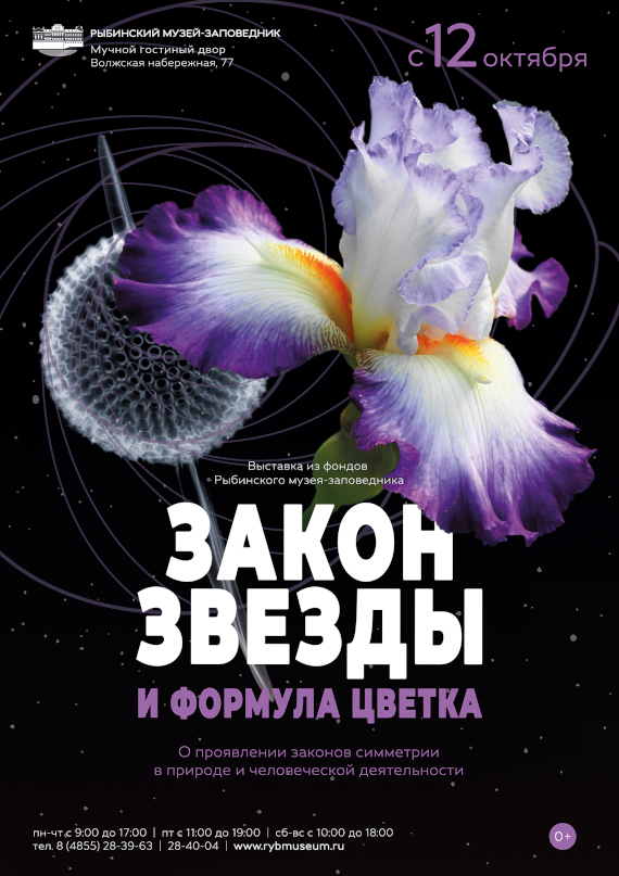 Рыбинск Выставка Закон звезды и формула цветка Рыбинский музей-заповедник
