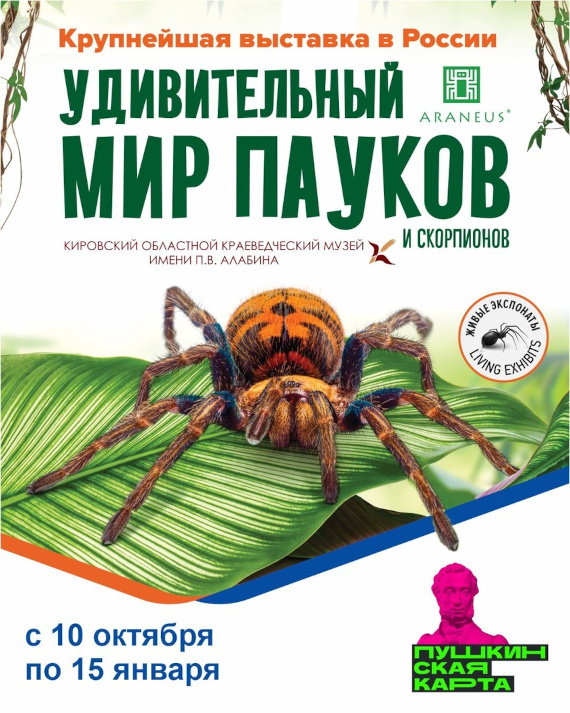 Выставка «Удивительный мир пауков». Кировский областной краеведческий музей имени П.В. Алабина.