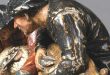 Тольятти Музей актуального реализма Выставка Александр Рукавишников Трансформация после Брейгелей