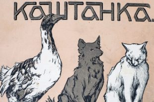 Дом-музей Чехова Выставка Каштанка: история молодой рыжей собаки