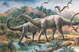 Выставка Динозавры у тебя дома! Государственный Дарвиновский Музей