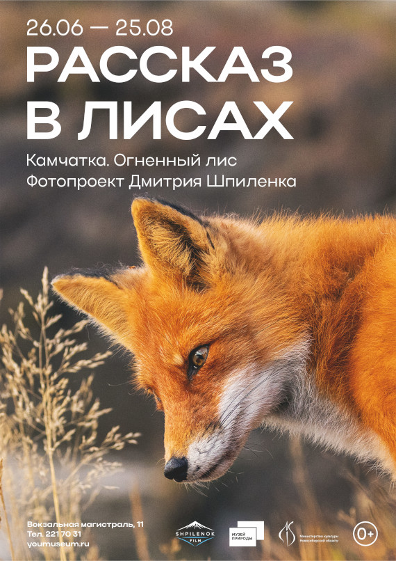 Дмитрий Шпилёнок. Рассказ в лисах. Камчатка. Огненный лис. Музей природы, Новосибирск.