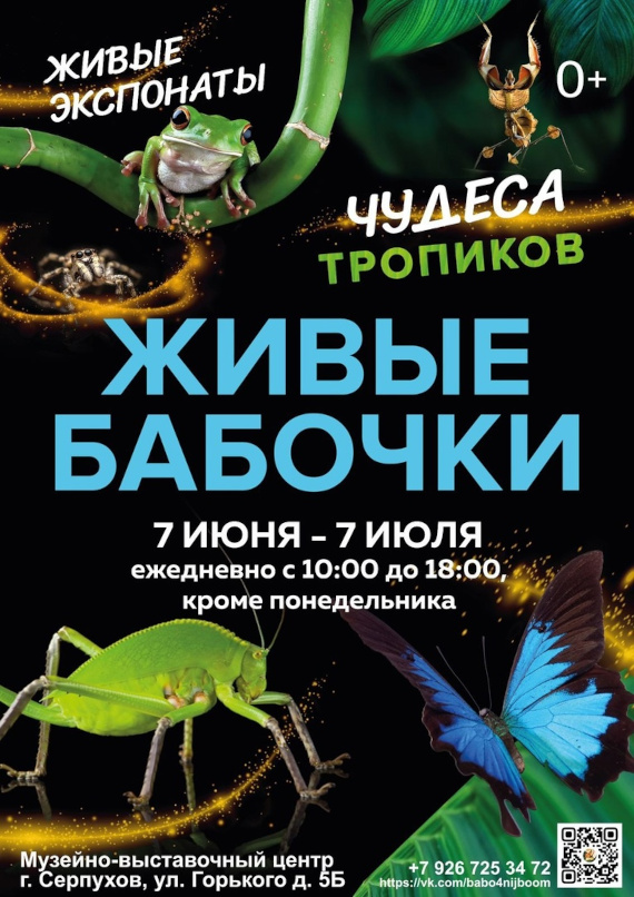 Живые бабочки. Музейно-выставочный центр города Серпухов.