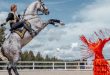 Семейный конный фестиваль «Иваново поле» 2024. Horseka Sport (КСК «Ивановское»).