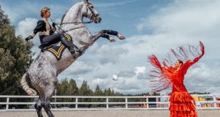 Семейный конный фестиваль «Иваново поле» 2024. Horseka Sport (КСК «Ивановское»).