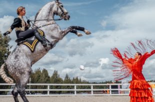 Семейный конный фестиваль «Иваново поле» 2024. Horseka Sport (КСК «Ивановское»).