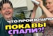 Анонс на неделю 15.07 – 21.07.2024. TOP-Лист лучших выставок, открывающихся на этой неделе: Москва Дарвиновский музей, Музей Востока, Российская Академия художеств и другие, Санкт-Петербург РОСФОТО, Фестиваль Достоевский в Зарайске.