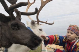 Фотовыставка Светлана Горбатых Оленные люди Государственный Дарвиновский Музей